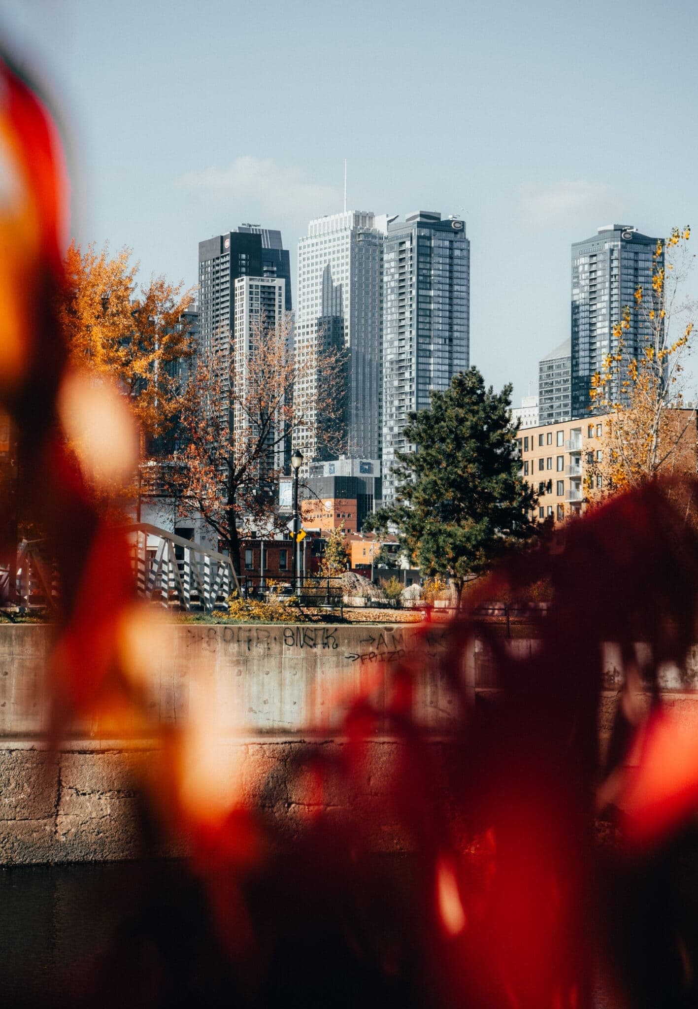 24h dans ma Vie à Montréal