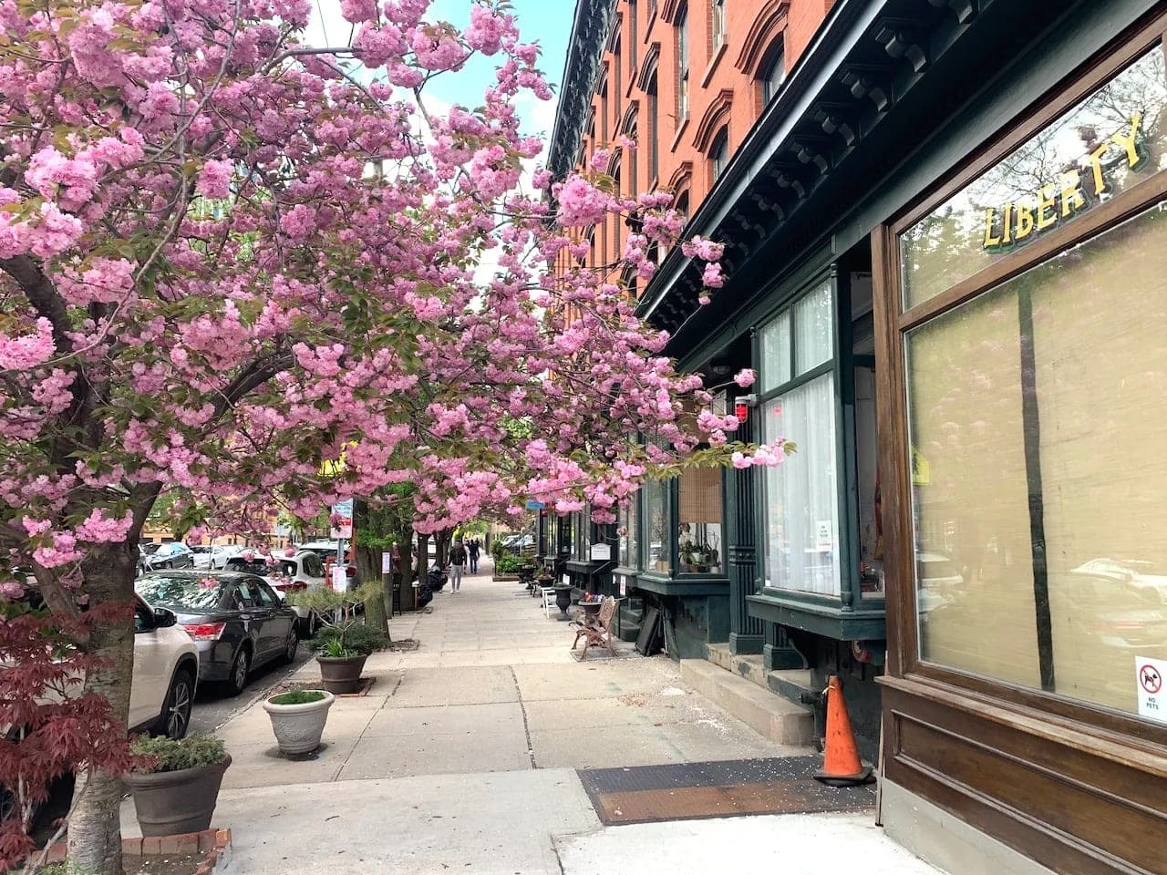 Que faire à Jersey City – Le guide ultime