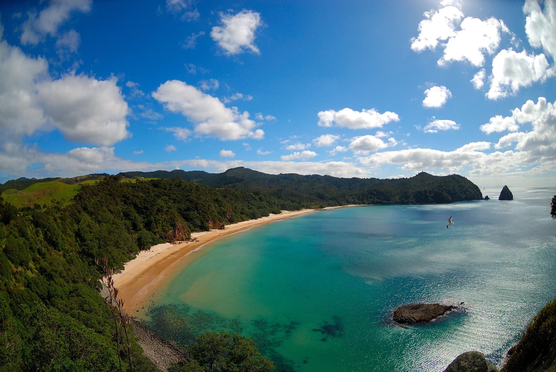 Découvrez la magnifique plage de New Chums Beach en Nouvelle-Zélande