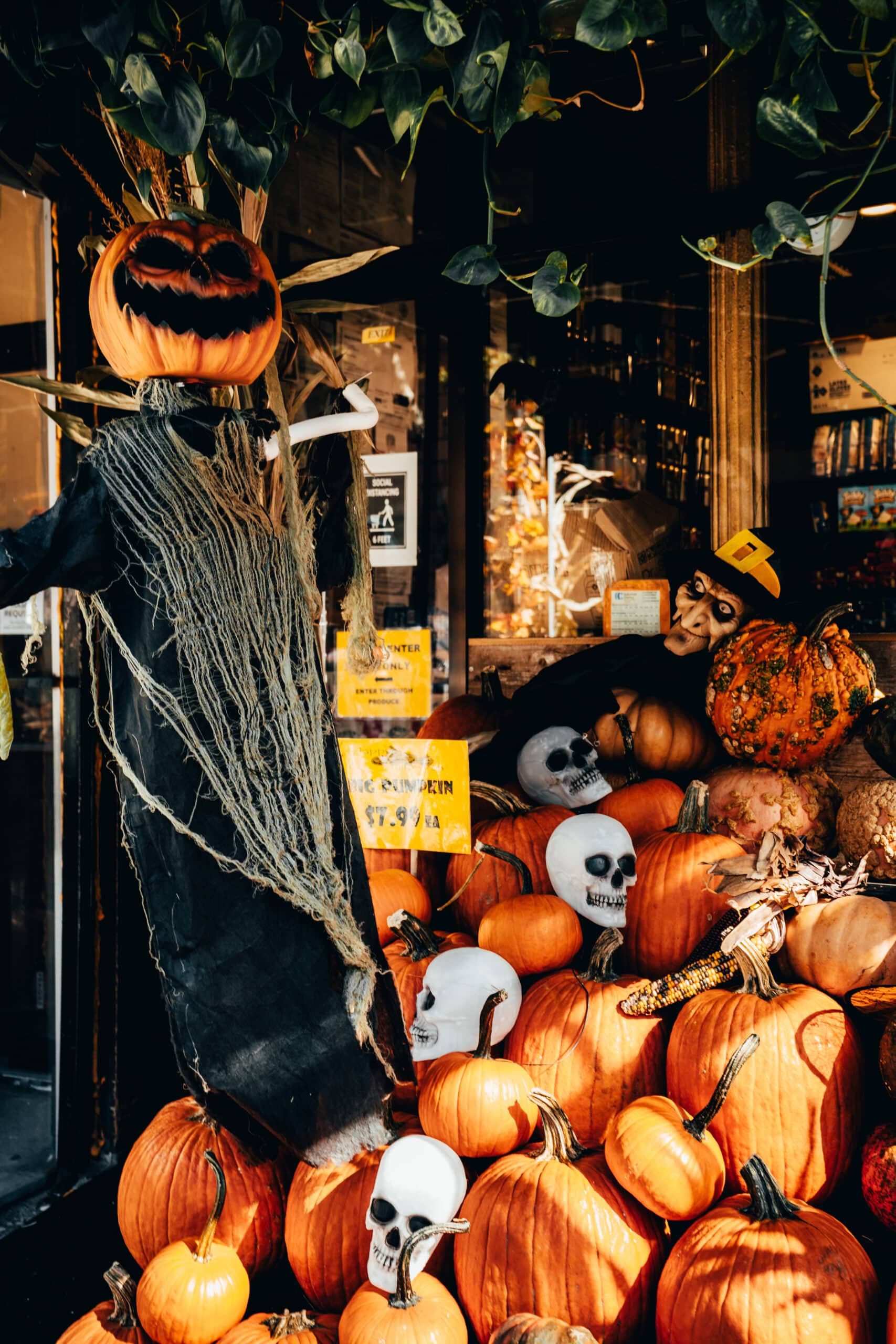 Où voir les décorations d’Halloween les plus folles à New York – Les meilleurs quartiers