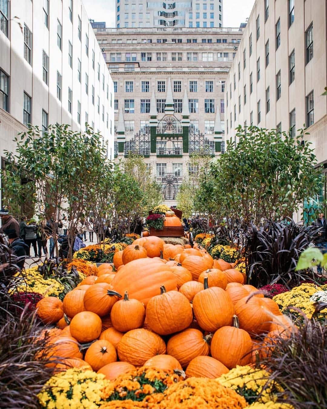 Où voir les décorations d’Halloween les plus folles à New York – Les meilleurs quartiers