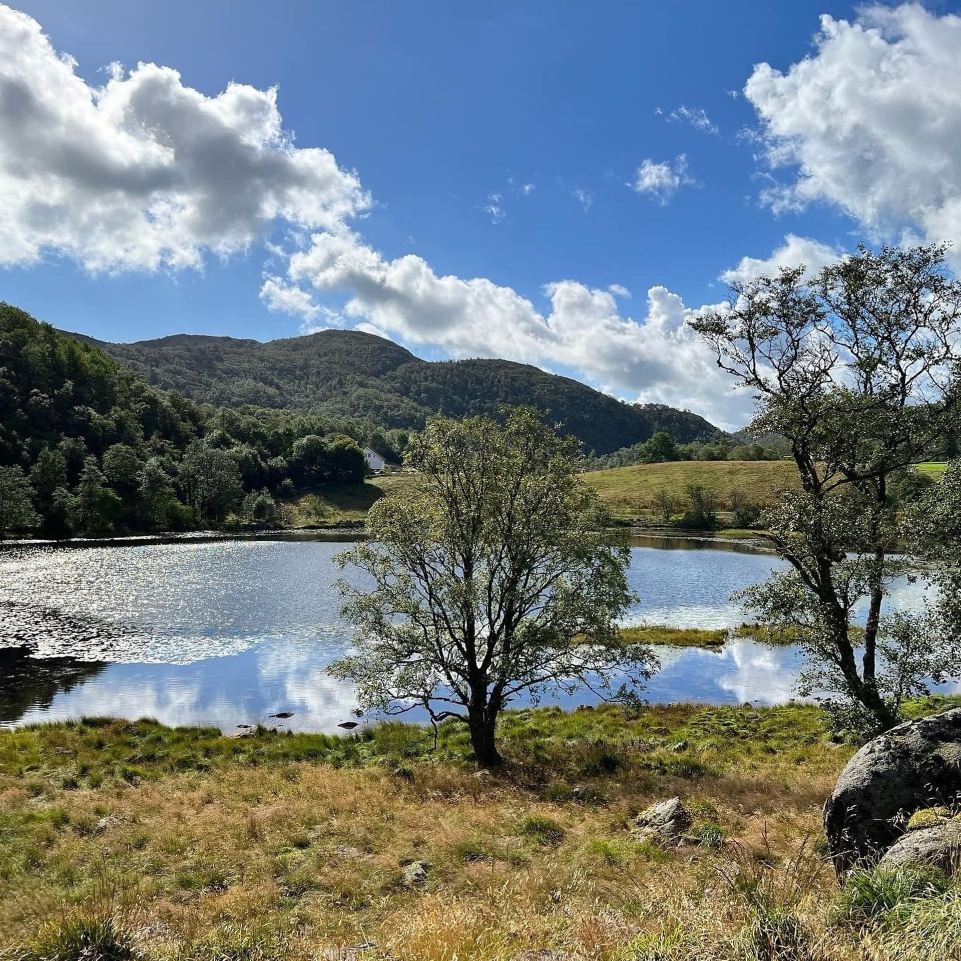 Exploration d’Hommersåk, un paradis au large de Stavanger