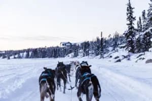3 jours à Tromsø en hiver, le guide complet