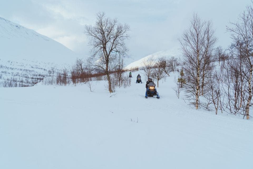 Découvrez les meilleurs tours de motoneige à Tromsø