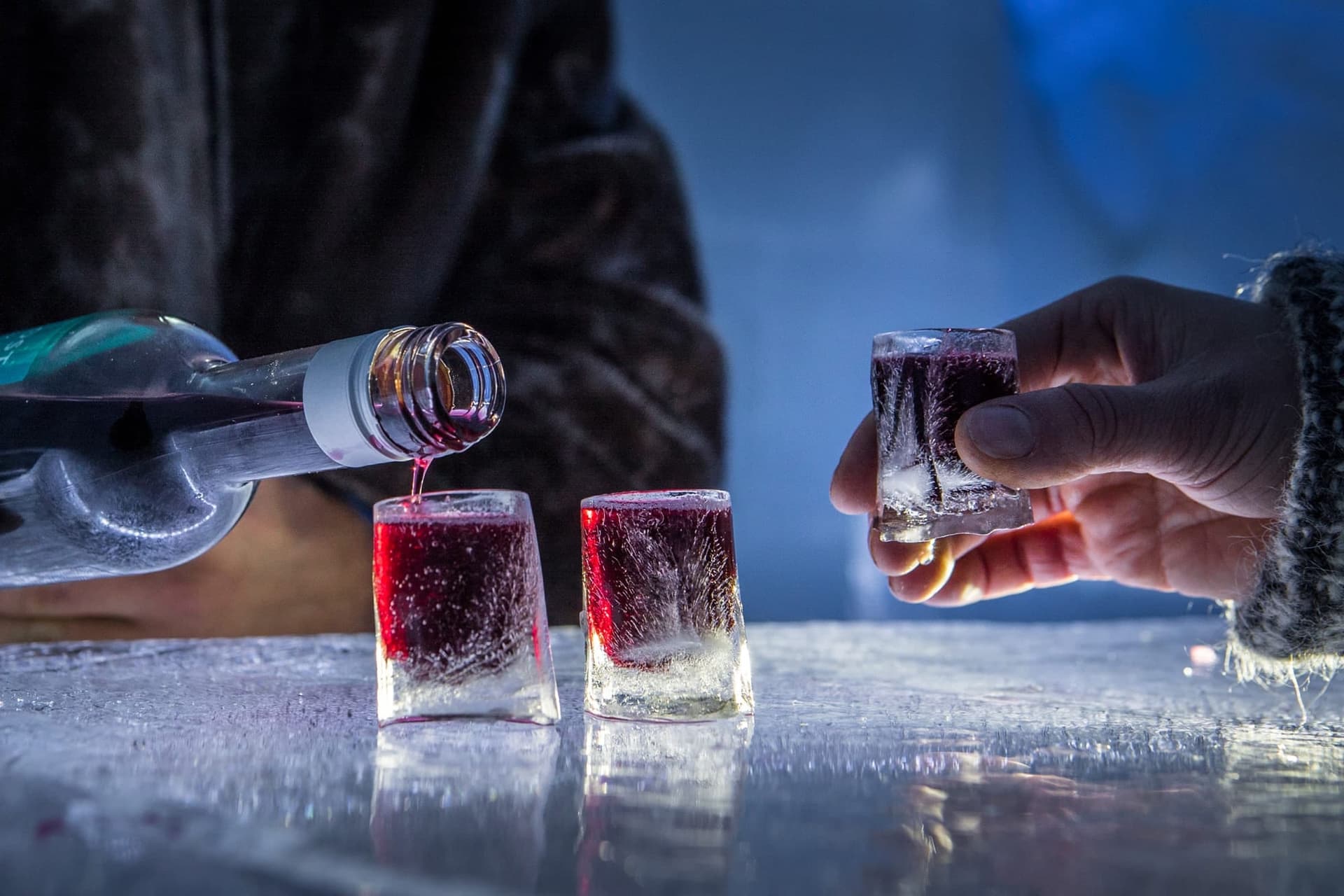 Découvrez les meilleurs tours de motoneige à Tromsø