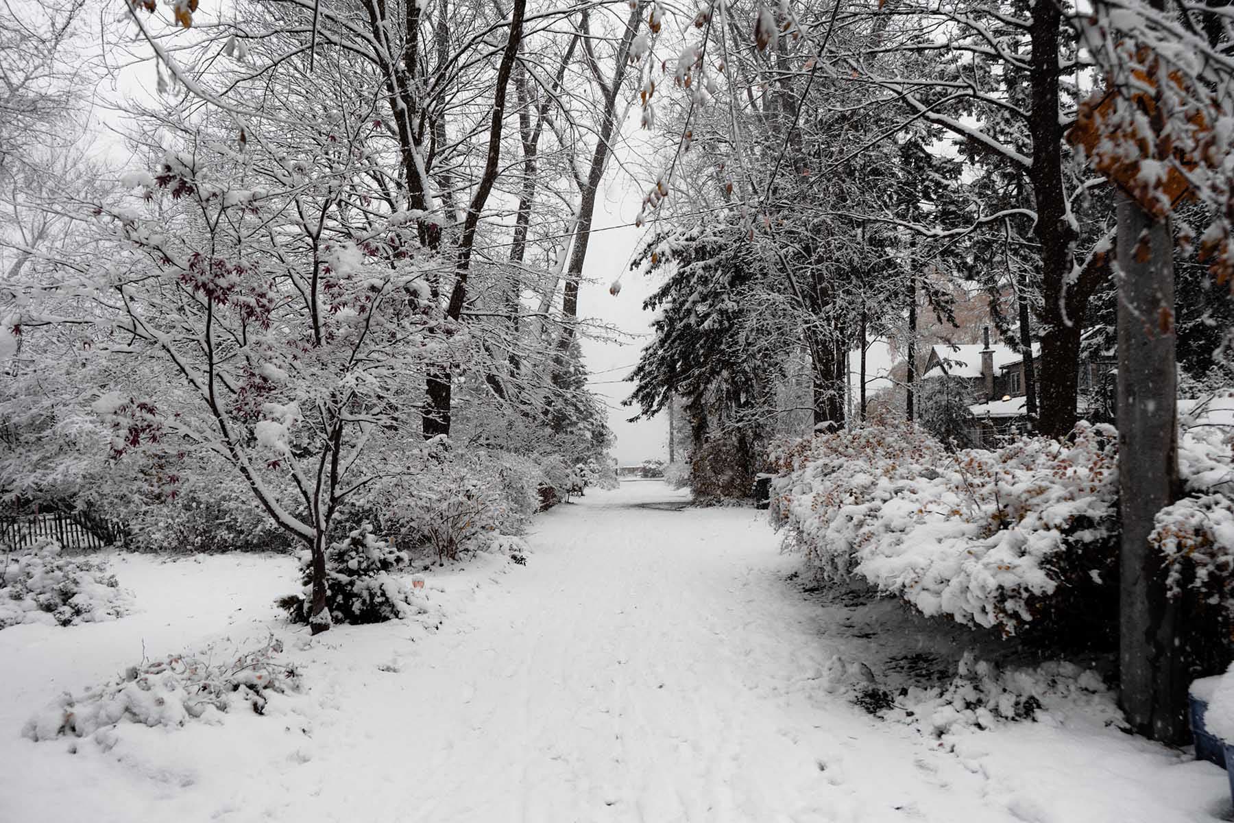 Les Îles de Toronto sous la neige