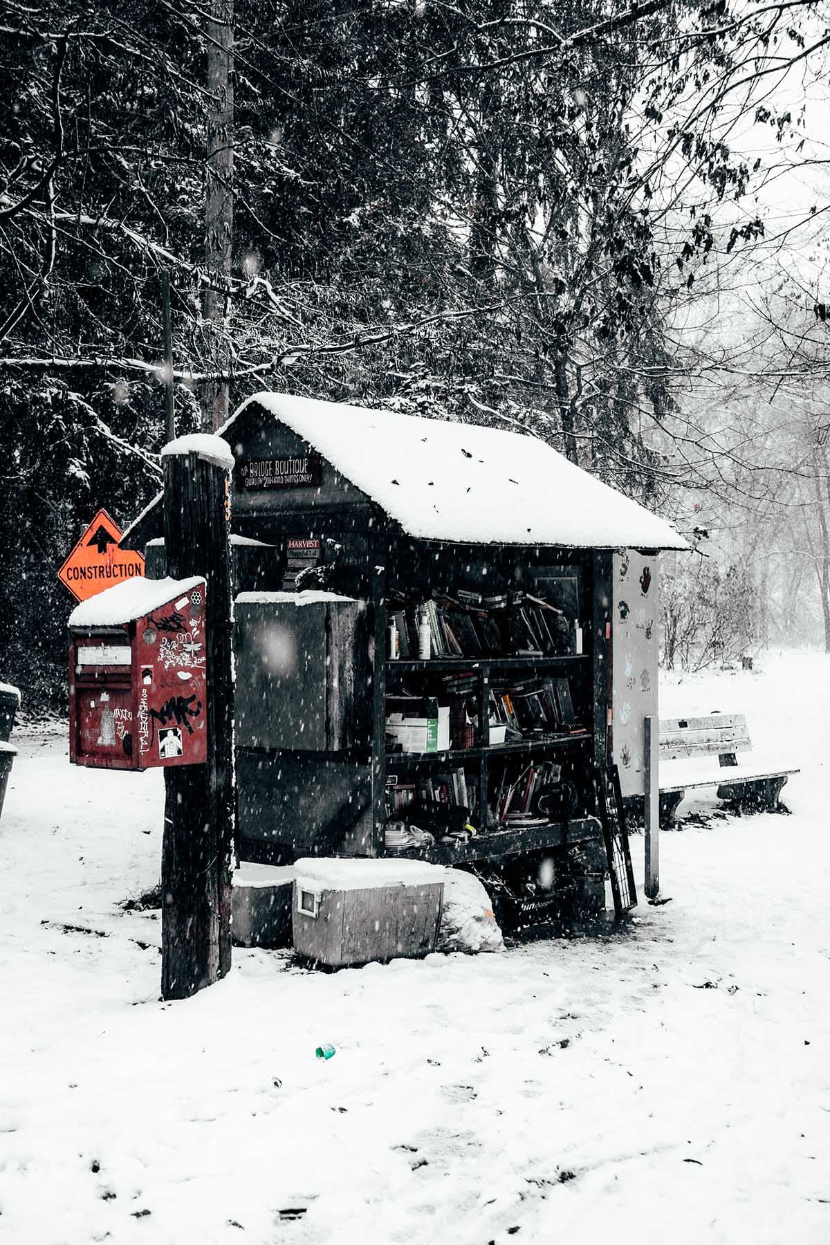 Les Îles de Toronto sous la neige