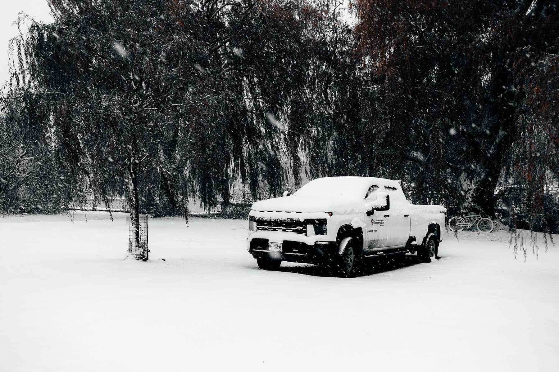 Les Îles de Toronto sous la neige