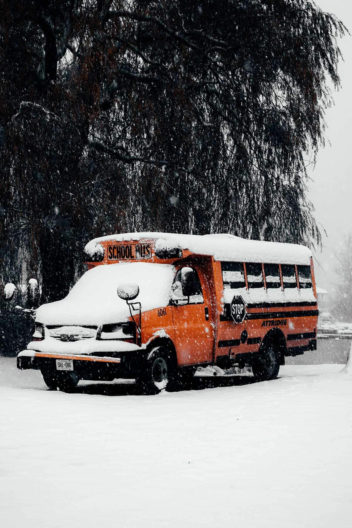 Les Îles de Toronto sous la neige