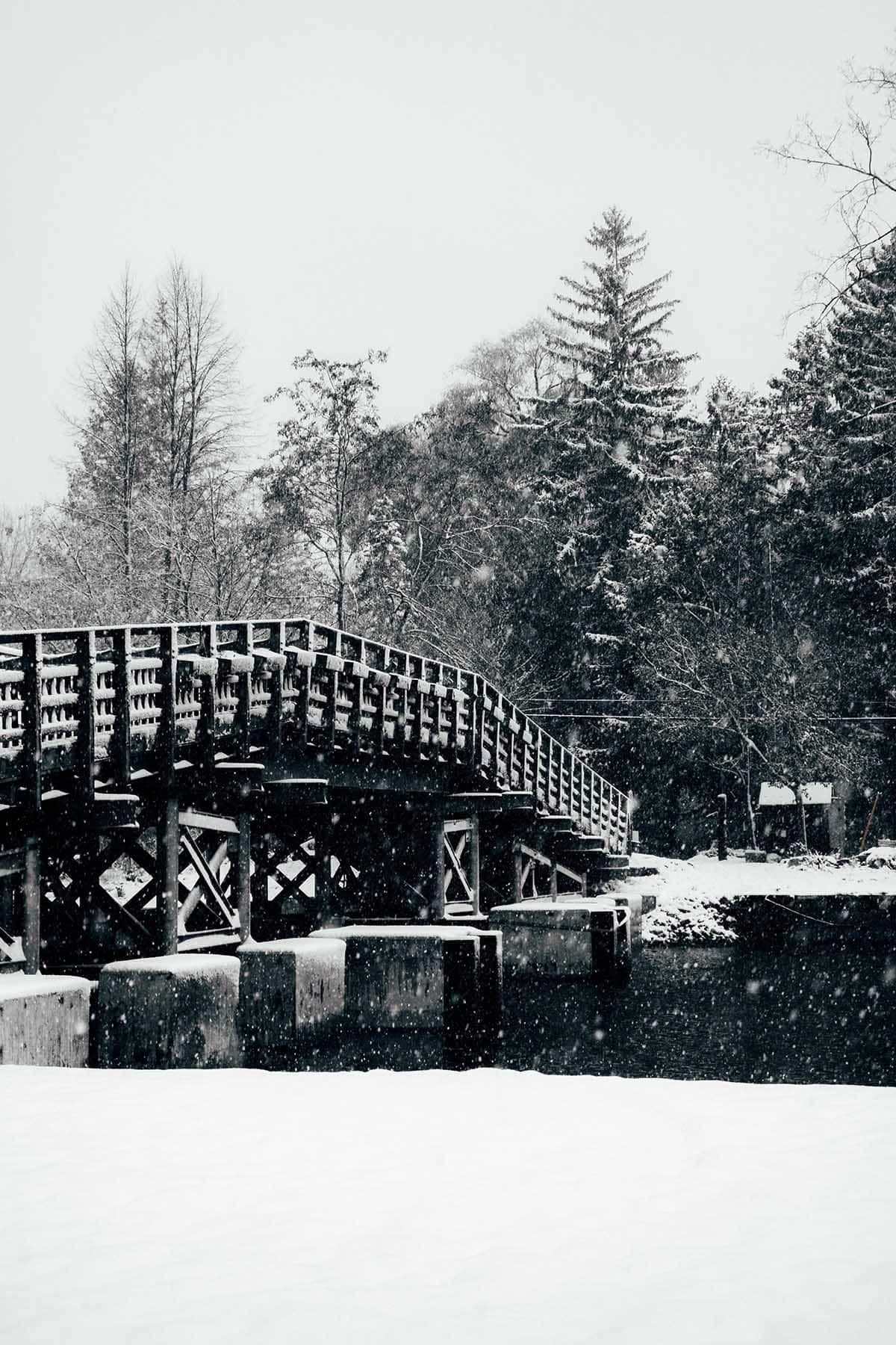 Les Îles de Toronto sous la neige