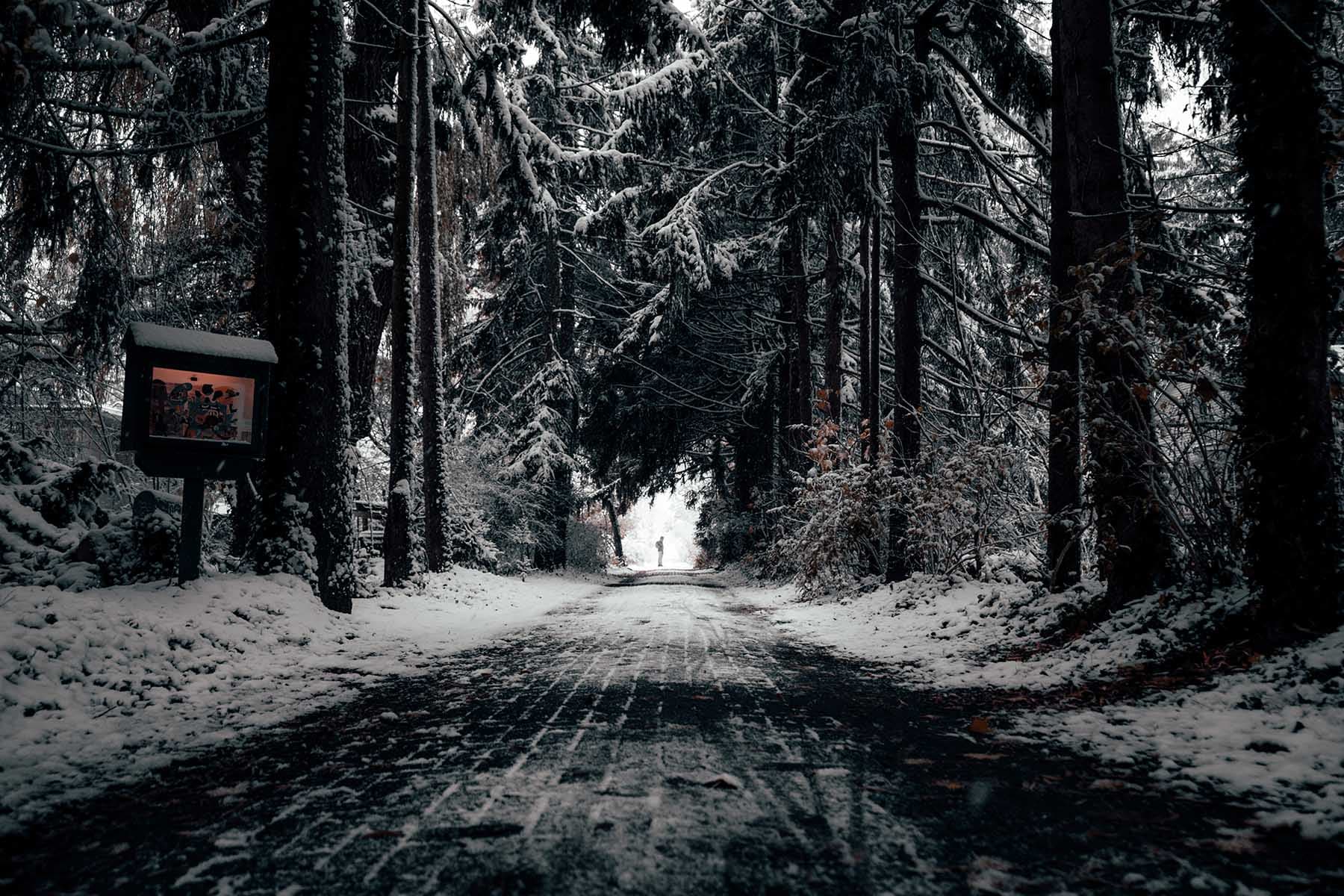 Les Îles de Toronto sous la neige