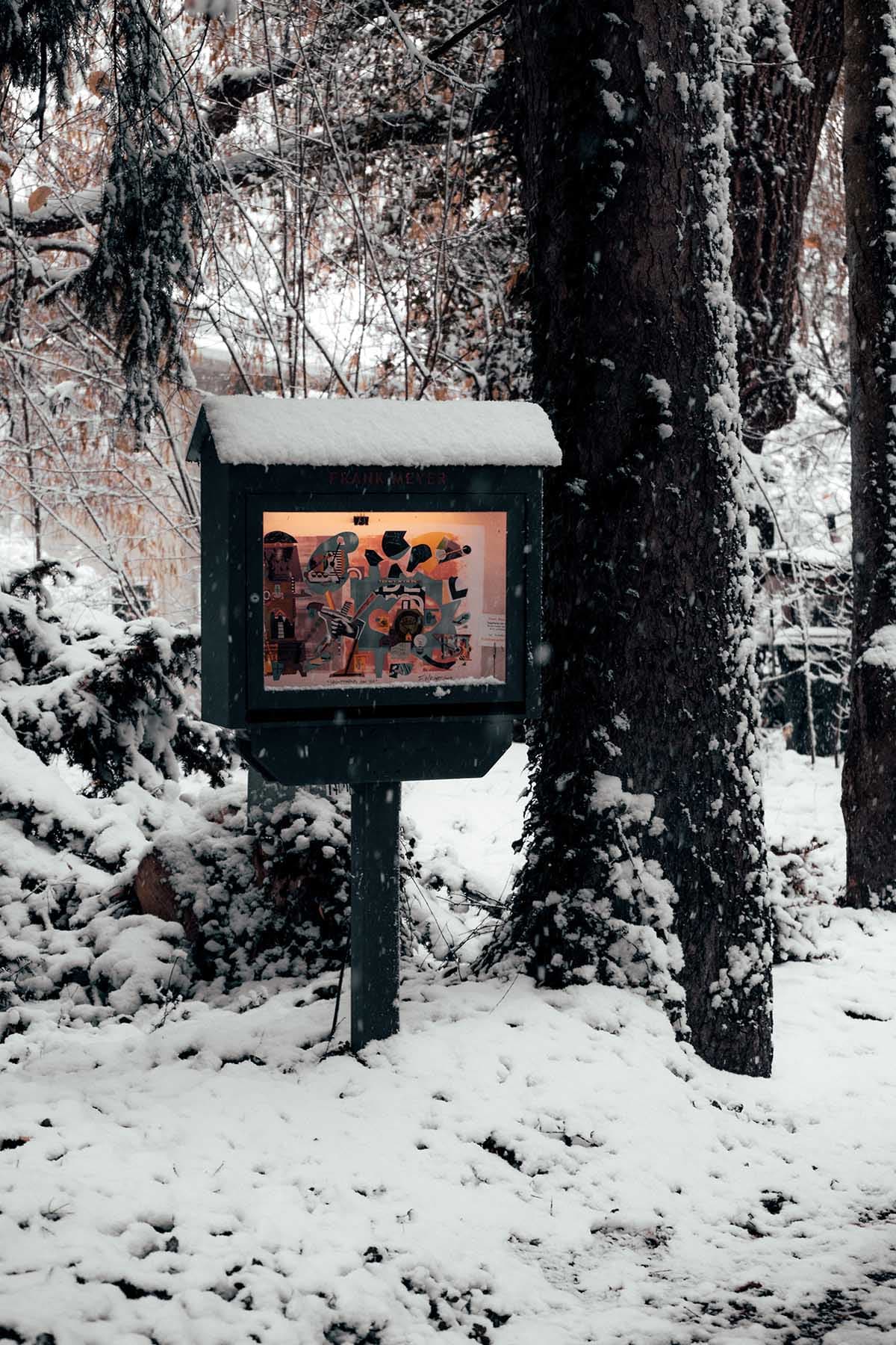 Les Îles de Toronto sous la neige