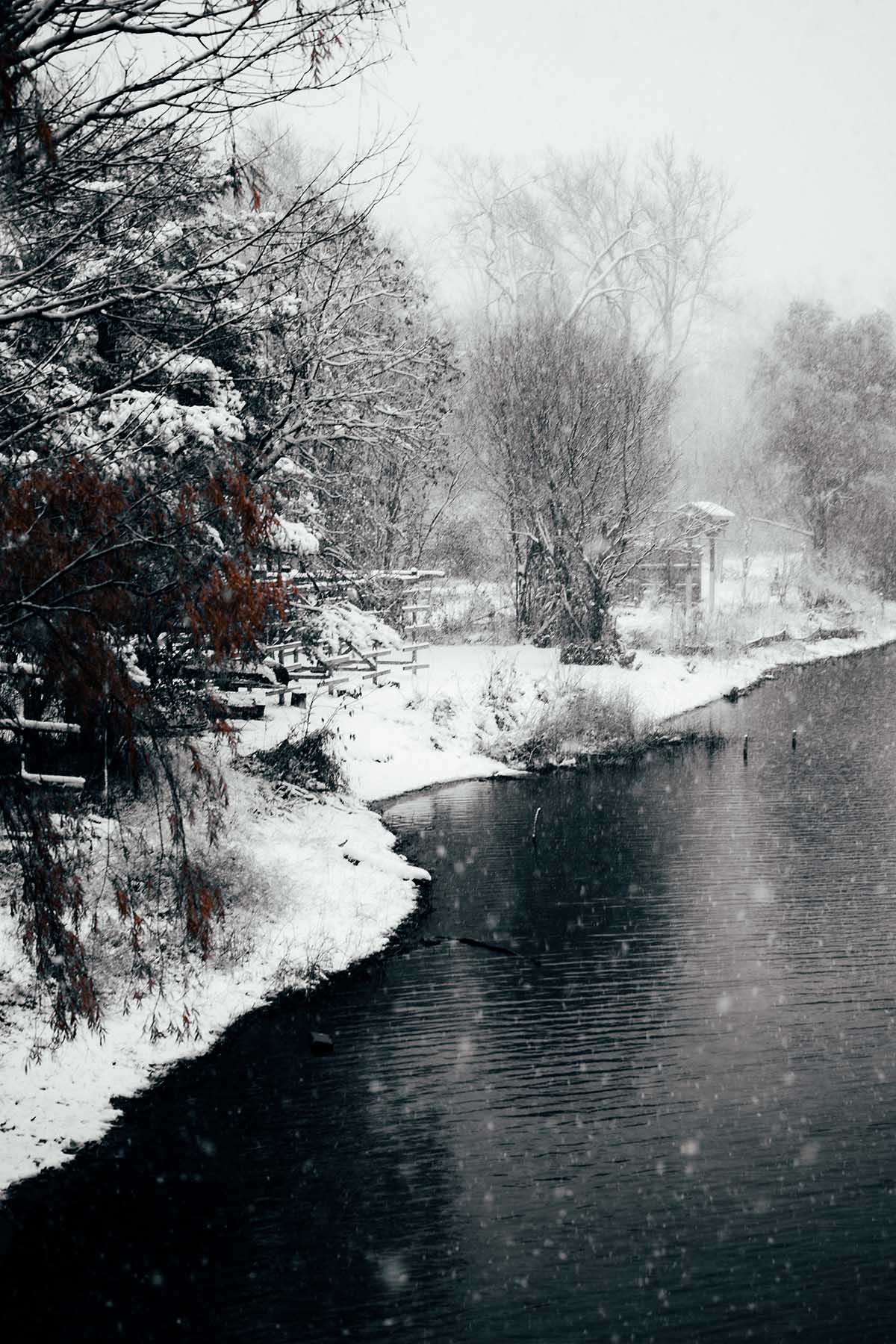Les Îles de Toronto sous la neige