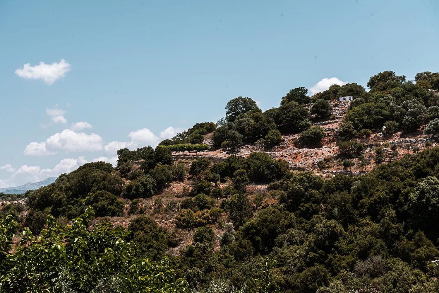 Argiroupoli village crete — Le village enchanteur d’Argiroupoli – Une Oasis en Crète