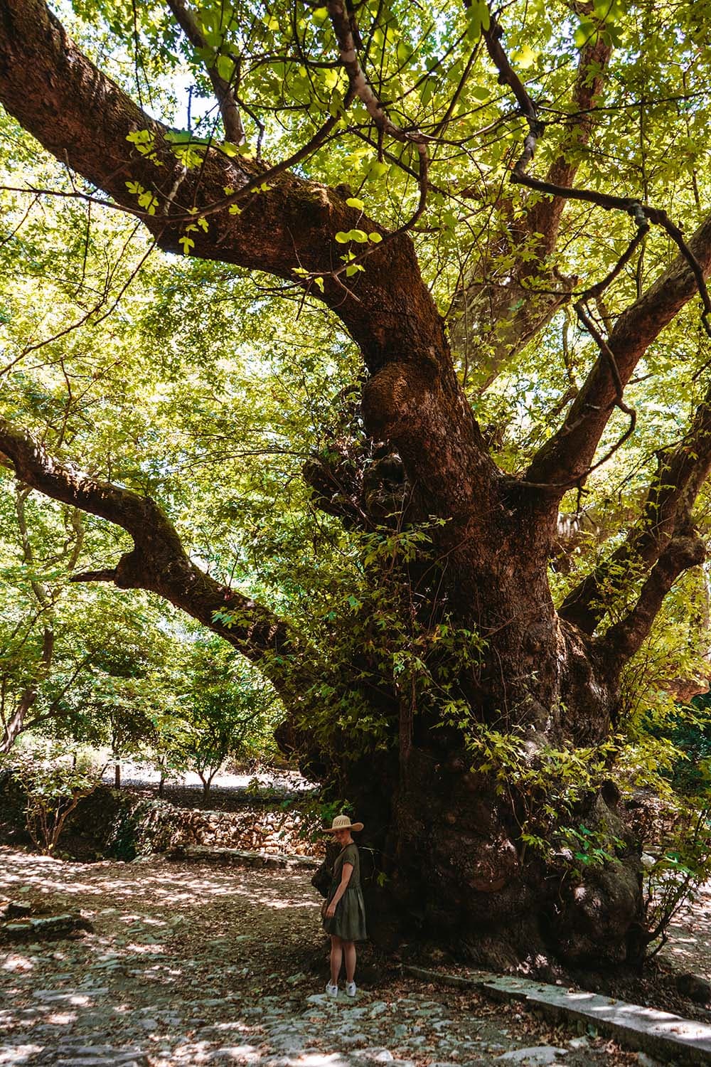 Argiroupoli village crete — Le village enchanteur d’Argiroupoli – Une Oasis en Crète