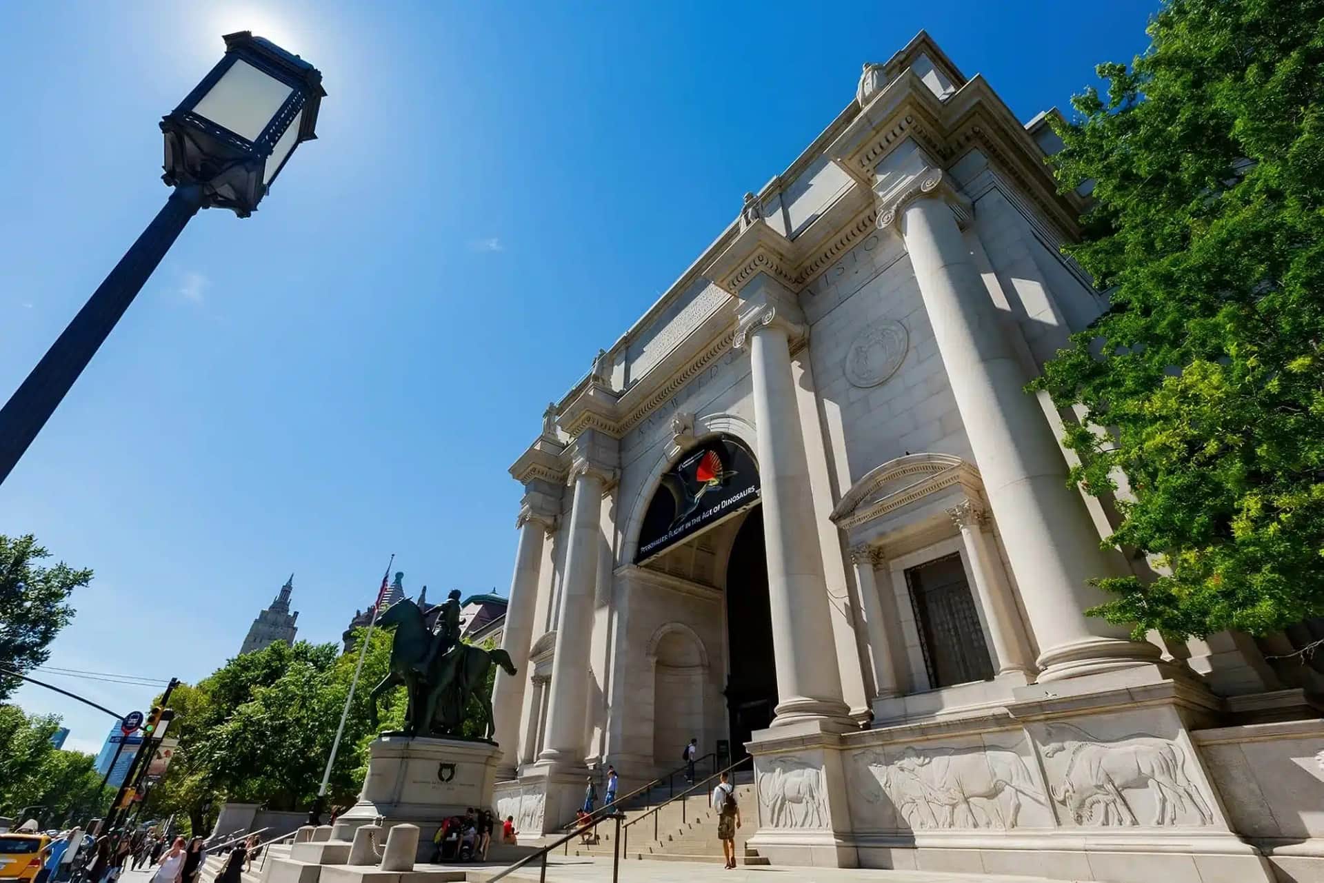 Le Musée Américain d’Histoire Naturelle de New York : Guide Complet