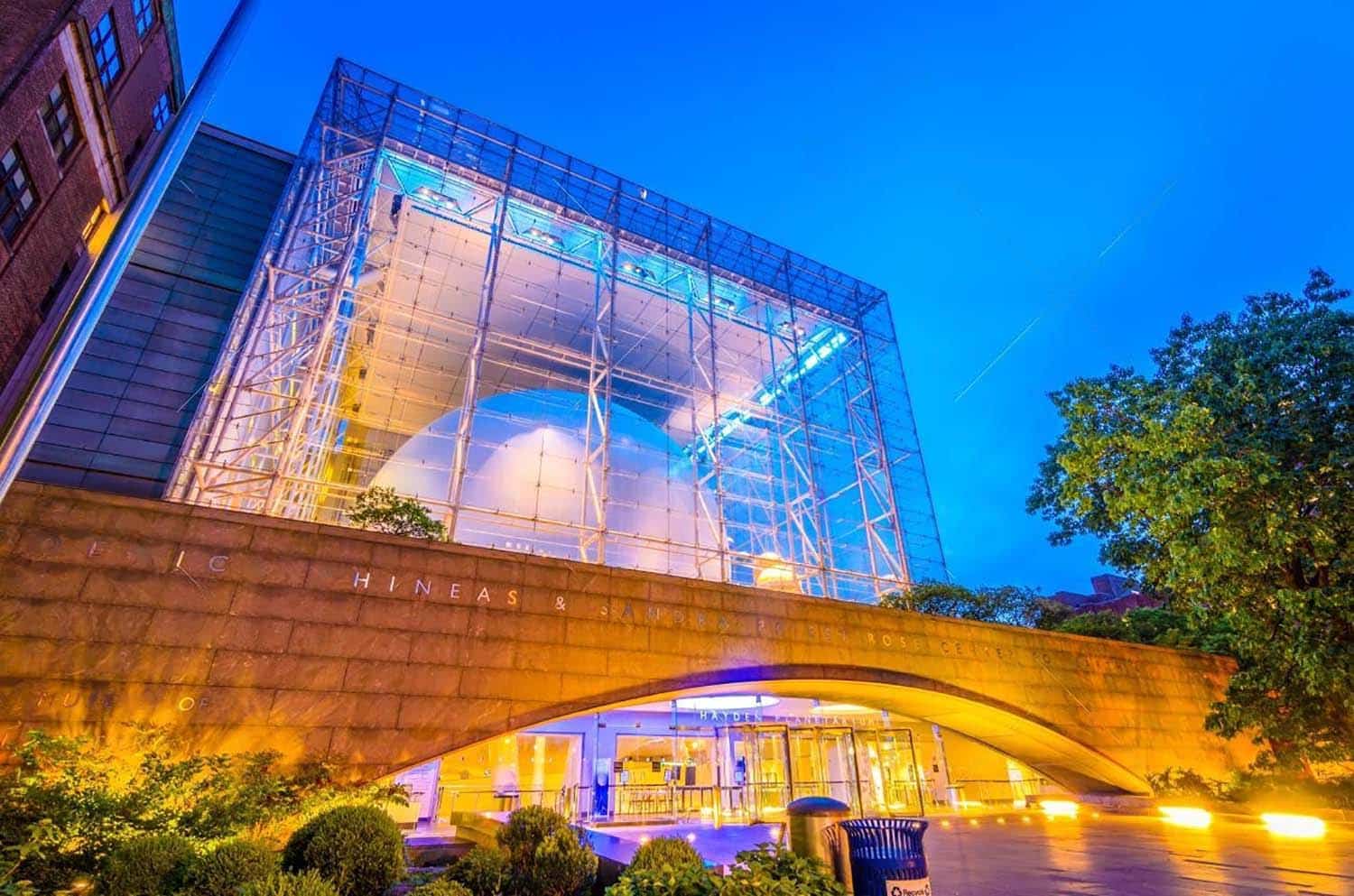Le Musée Américain d’Histoire Naturelle de New York : Guide Complet