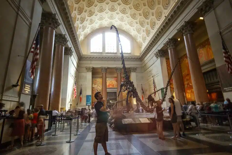 Le Musée Américain d’Histoire Naturelle de New York : Guide Complet