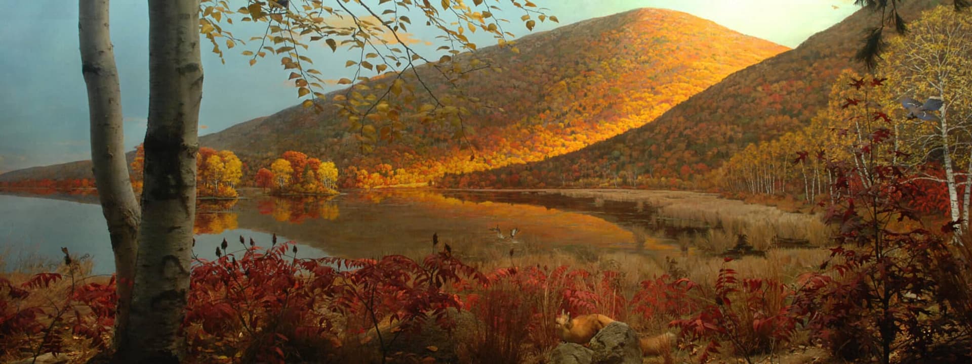 Le Musée Américain d’Histoire Naturelle de New York : Guide Complet