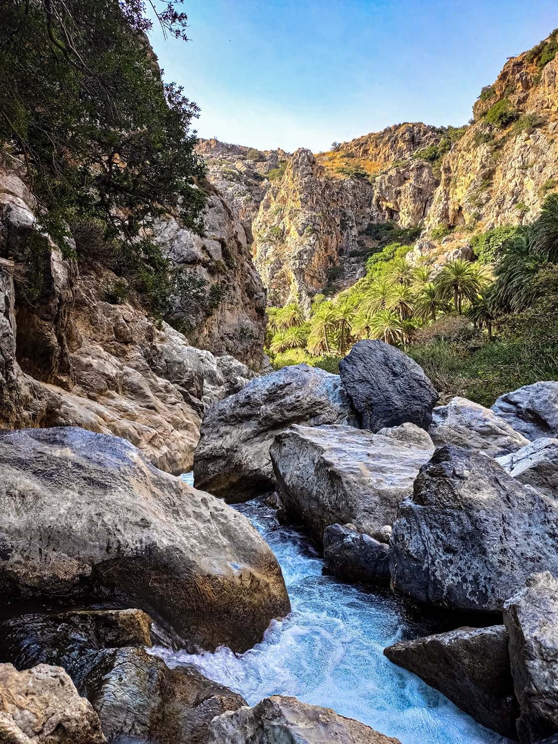 Plage de preveli crete guide — La beach de Preveli : palmiers et oasis en Crete