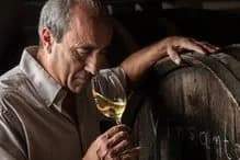 Découvrez les vins et cépages de Santorini