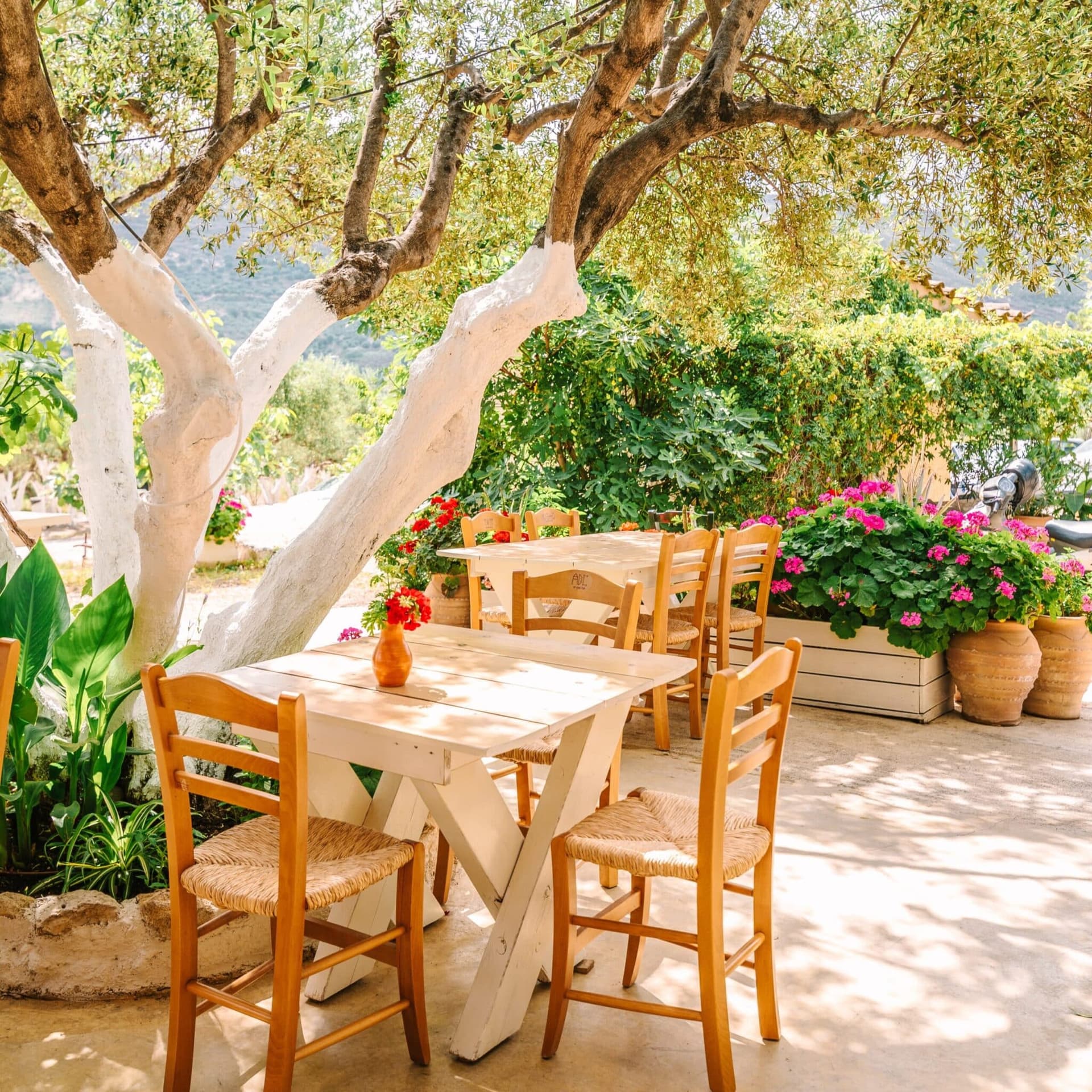 Palais knossos crete — Discover le mythique Palais de Knossos en Crete