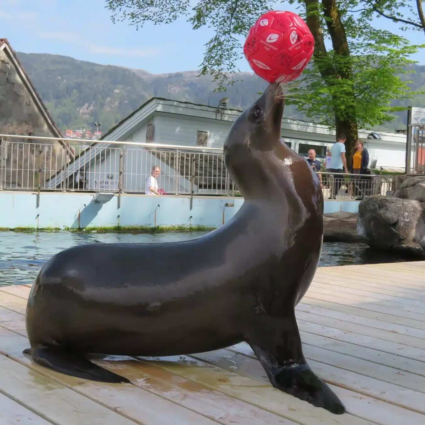 L’Aquarium de Bergen en Norvège : Avis, Prix, Adresse et Réservation