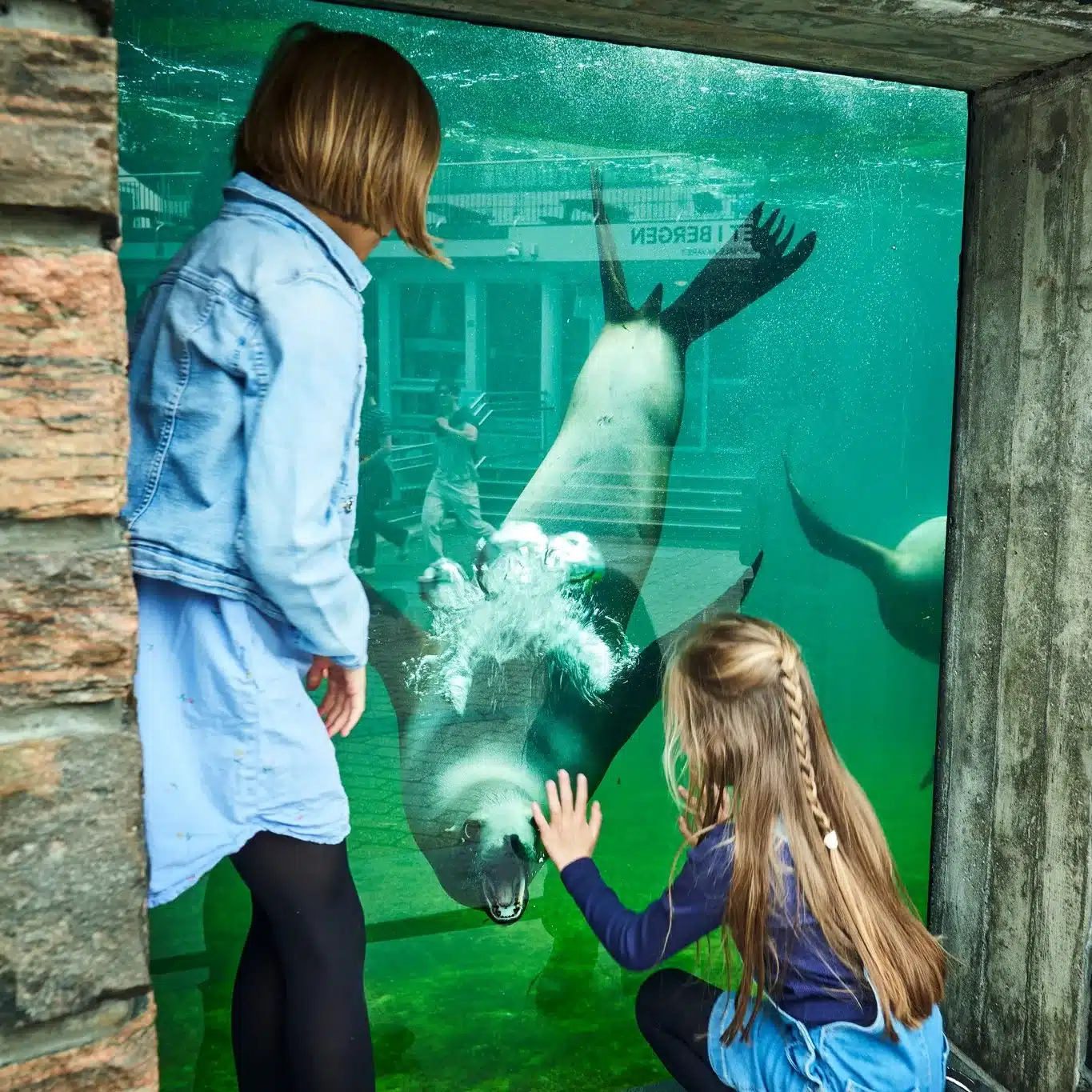 L’Aquarium de Bergen en Norvège : Avis, Prix, Adresse et Réservation