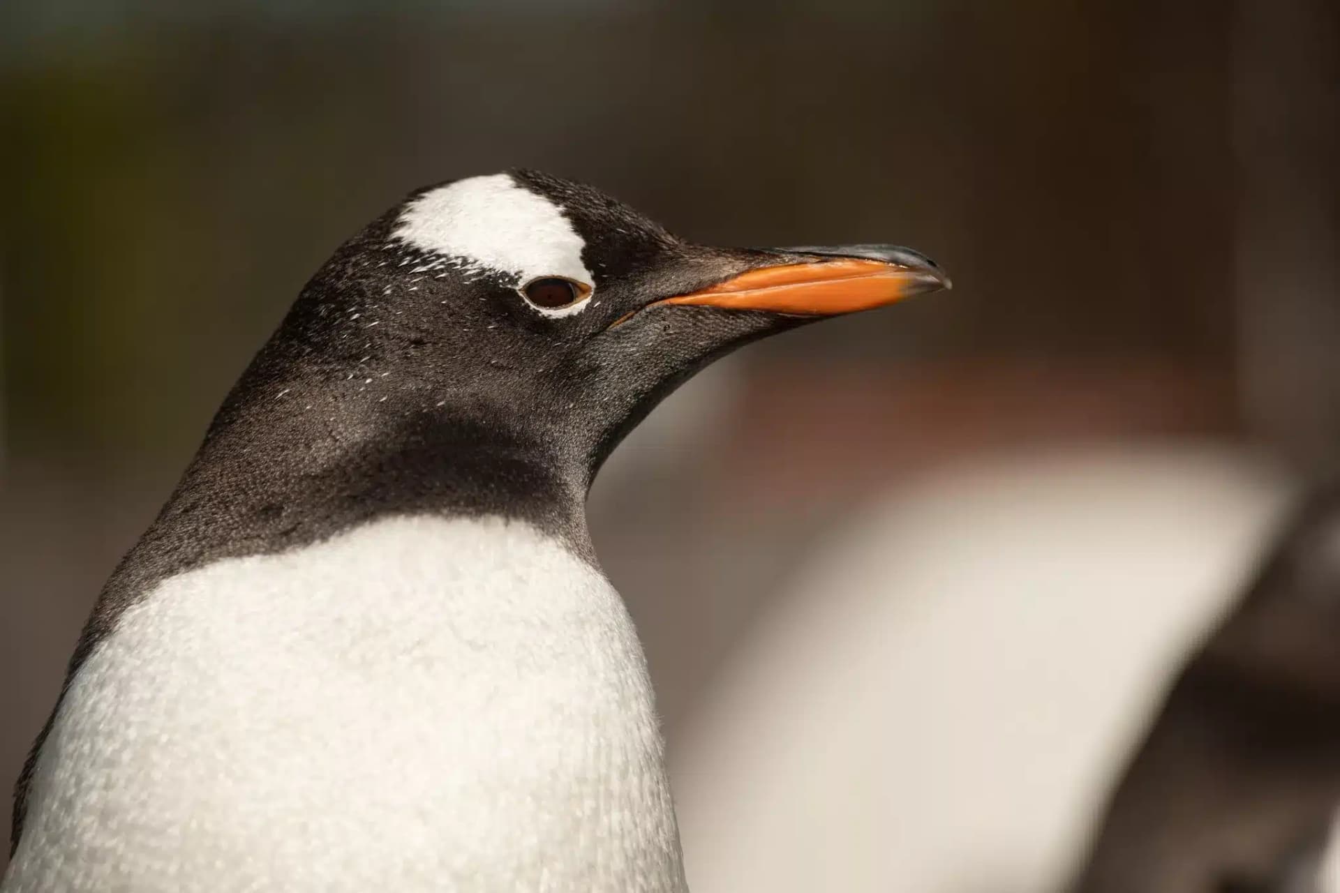 L’Aquarium de Bergen en Norvège : Avis, Prix, Adresse et Réservation