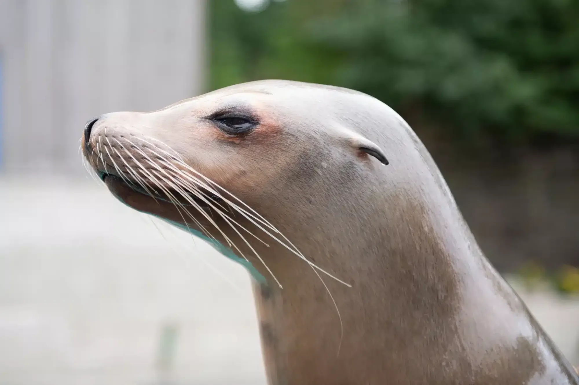 L’Aquarium de Bergen en Norvège : Avis, Prix, Adresse et Réservation