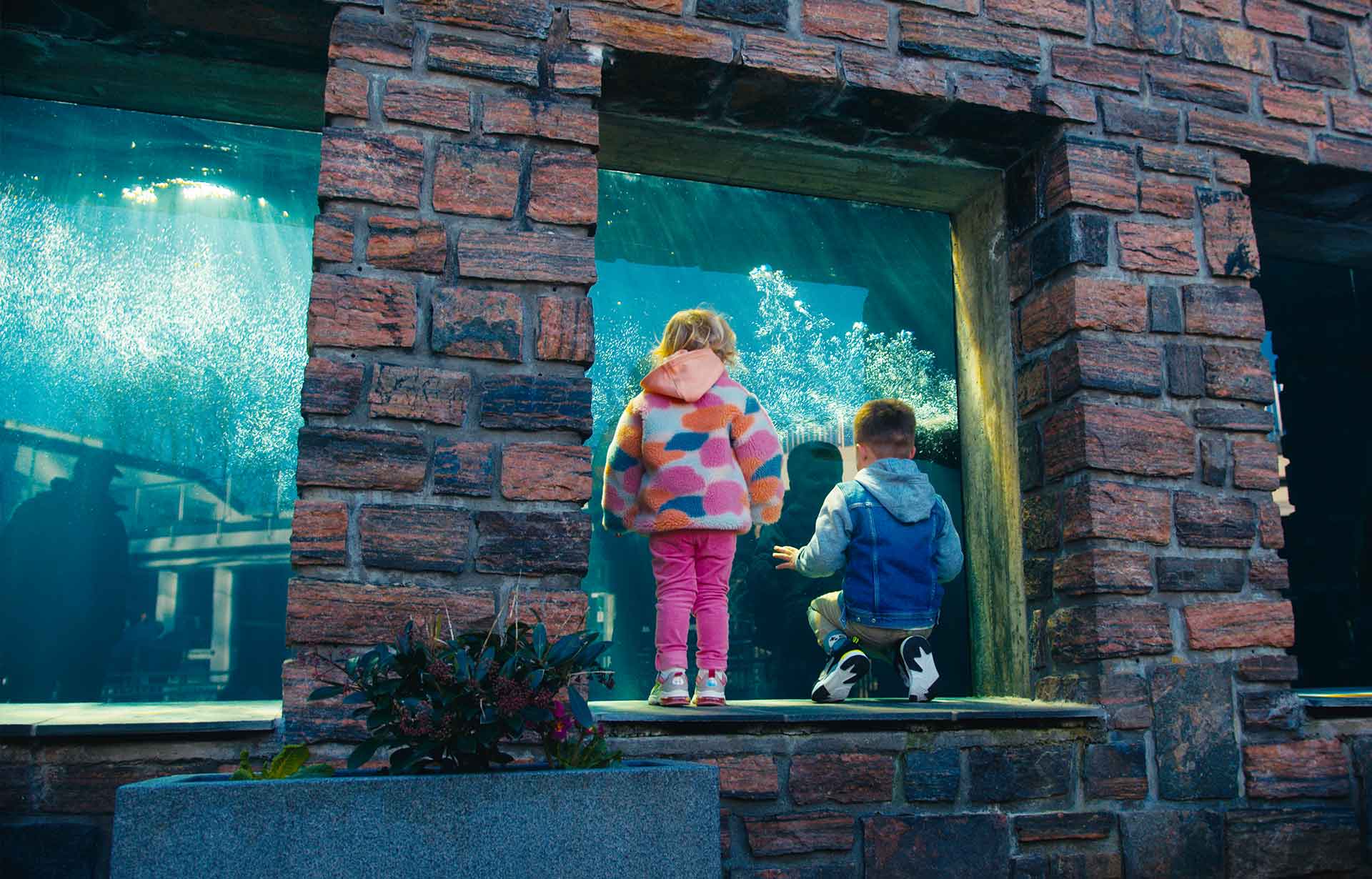 L’Aquarium de Bergen en Norvège : Avis, Prix, Adresse et Réservation