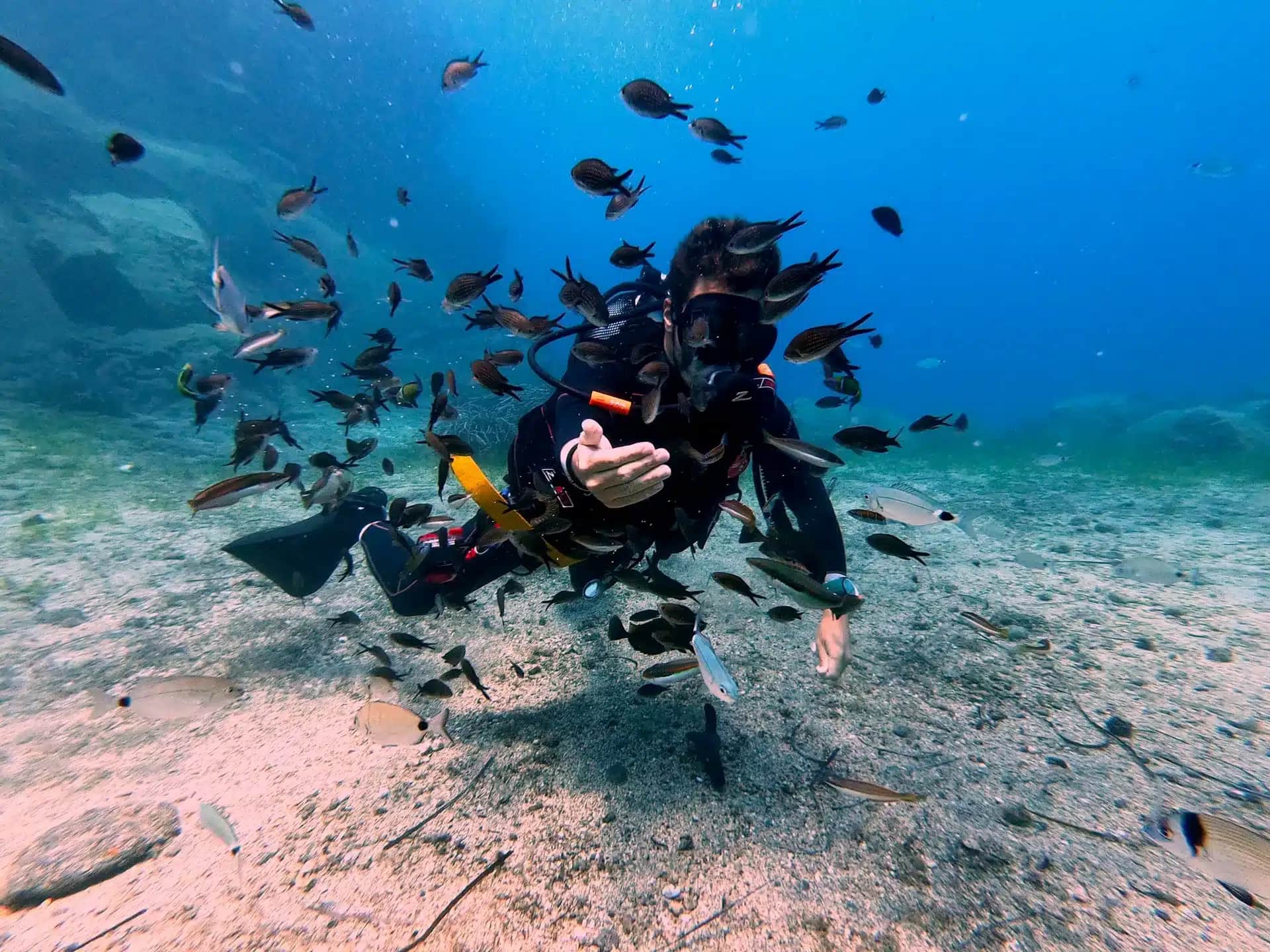 Scuba Diving in Santorini