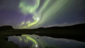 Observation de baleines en Islande en Hiver : Une Expérience Magique et Frissonnante