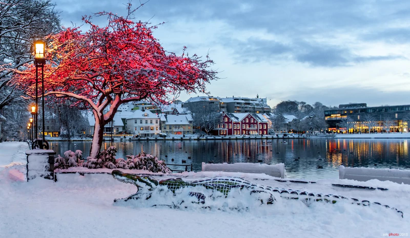 Le marché de Noël de Stavanger 2024 : vivre la magie des fêtes en Norvège