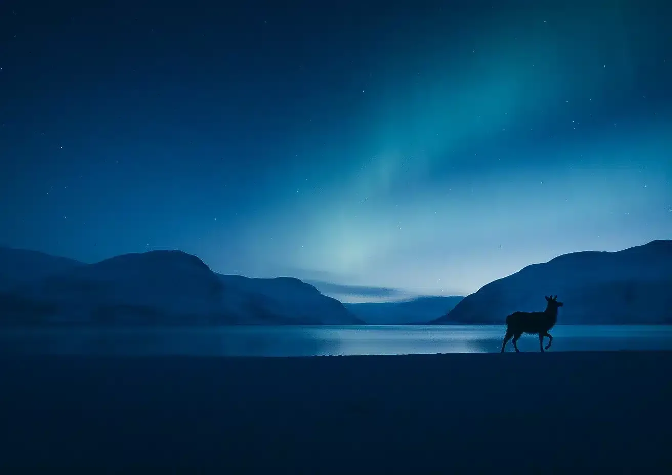 12 erreurs à éviter pour voir les Aurores Boréales à Tromsø