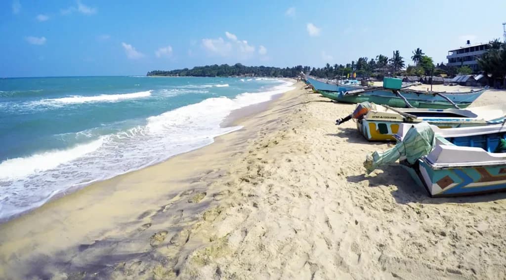 18 plages pour profiter du soleil en hiver