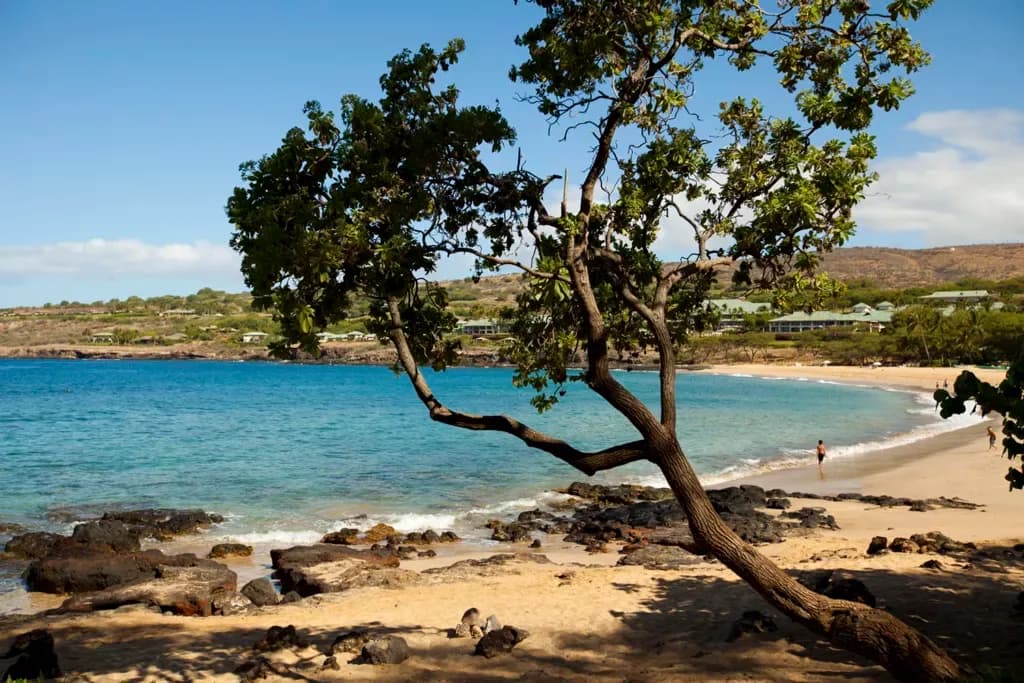 18 plages pour profiter du soleil en hiver