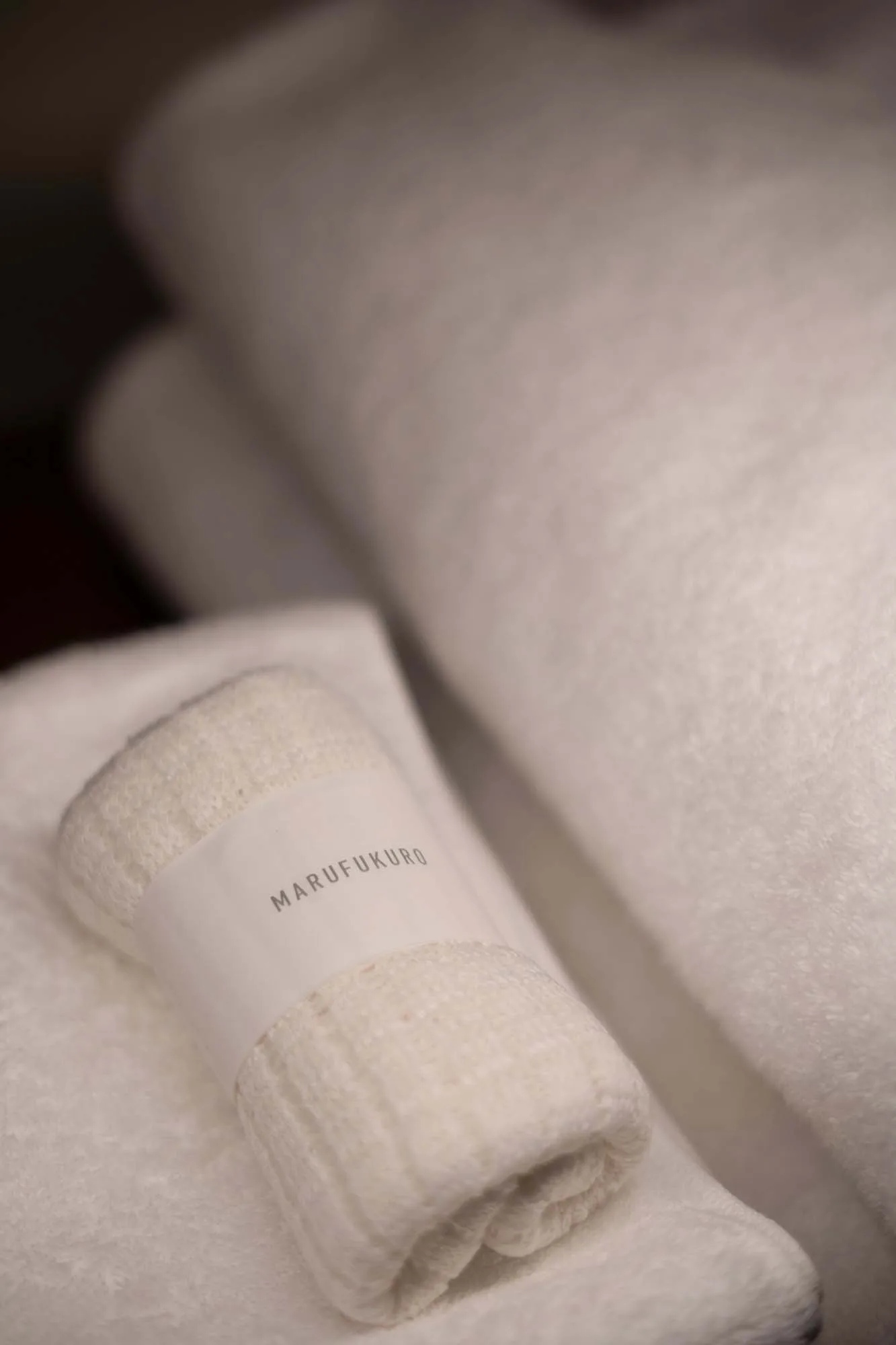 Une nuit à l’hôtel Marufukuro à Kyoto – Review