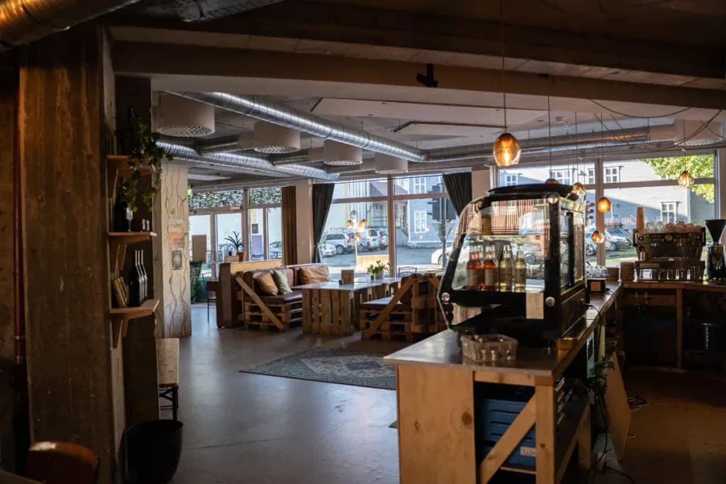 Halloween à Tromsø : chasse aux aurores boréales et atmosphère automnale