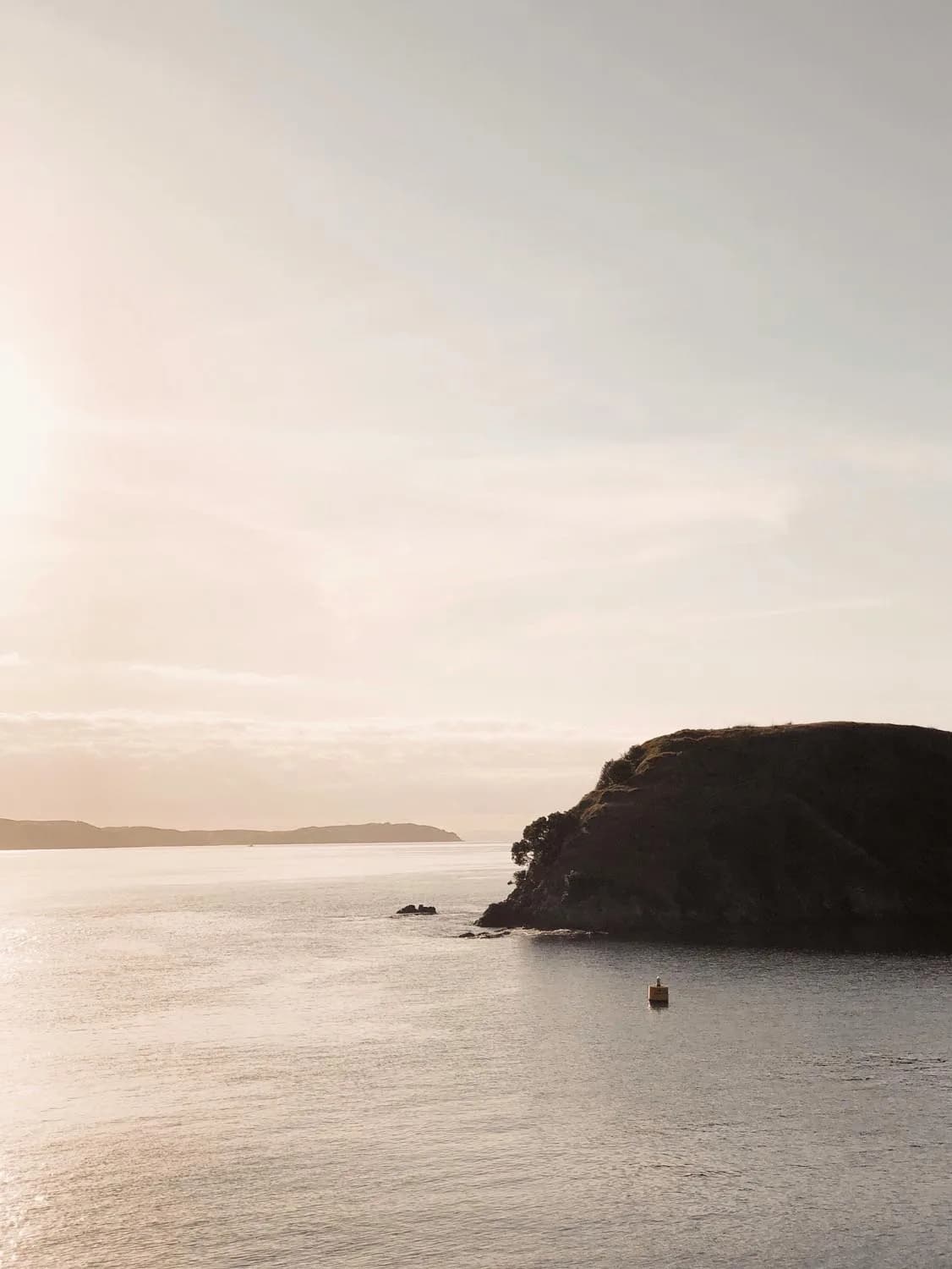 Découvrir Waiheke Island, au large d’Auckland