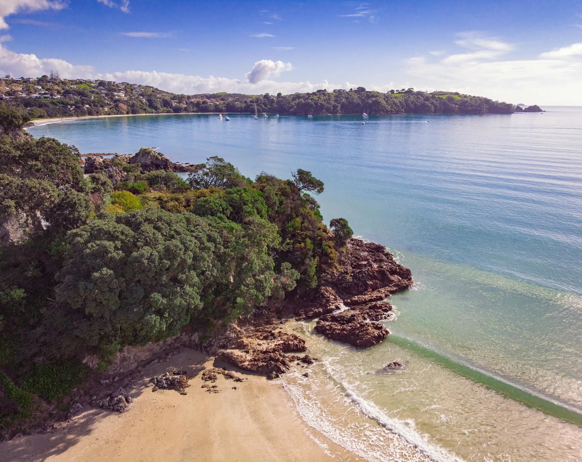 Découvrir Waiheke Island, au large d’Auckland