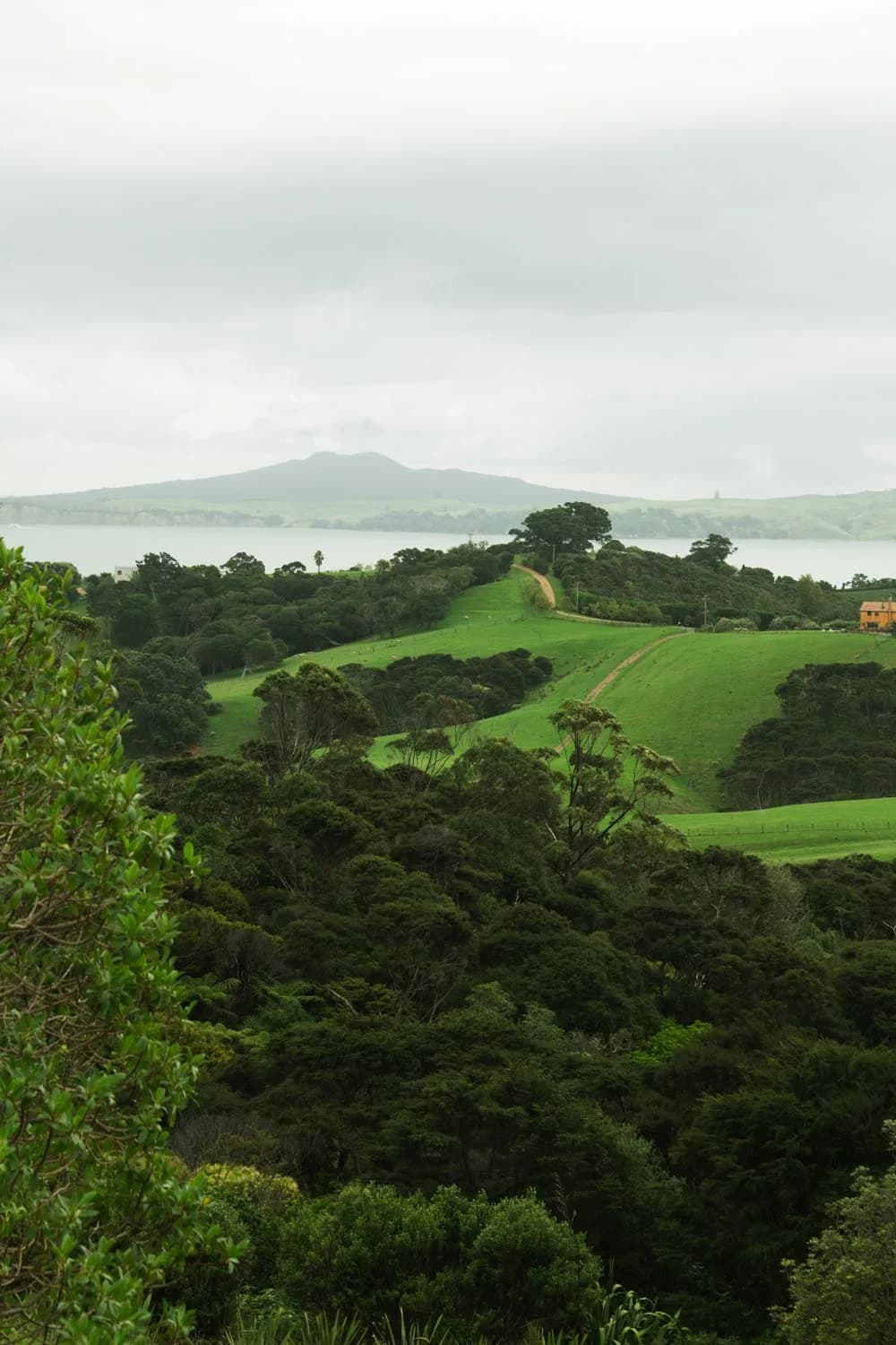 Découvrir Waiheke Island, au large d’Auckland