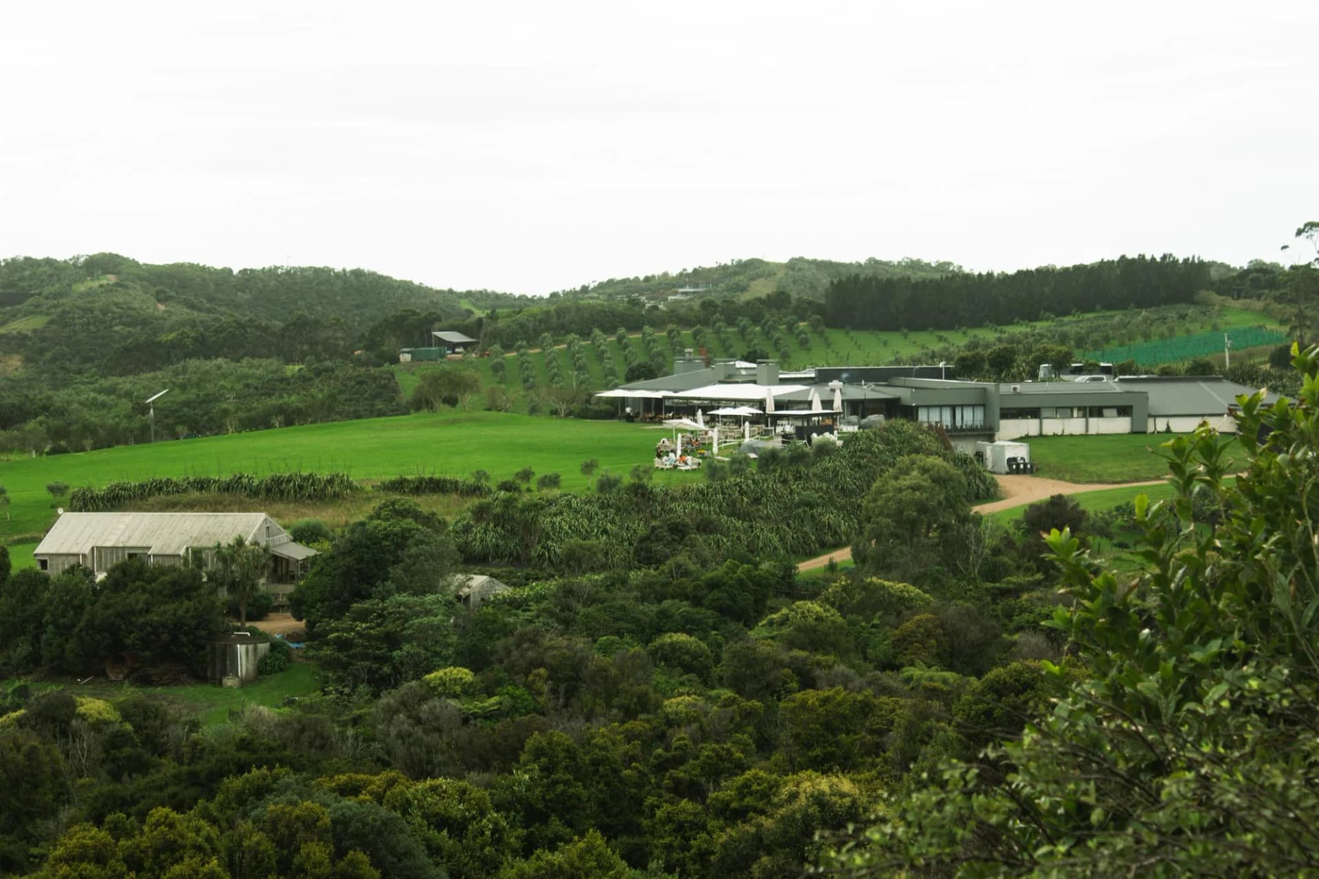 Découvrir Waiheke Island, au large d’Auckland