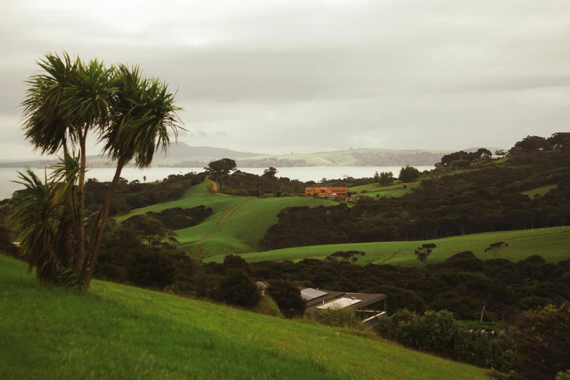 Découvrir Waiheke Island, au large d’Auckland