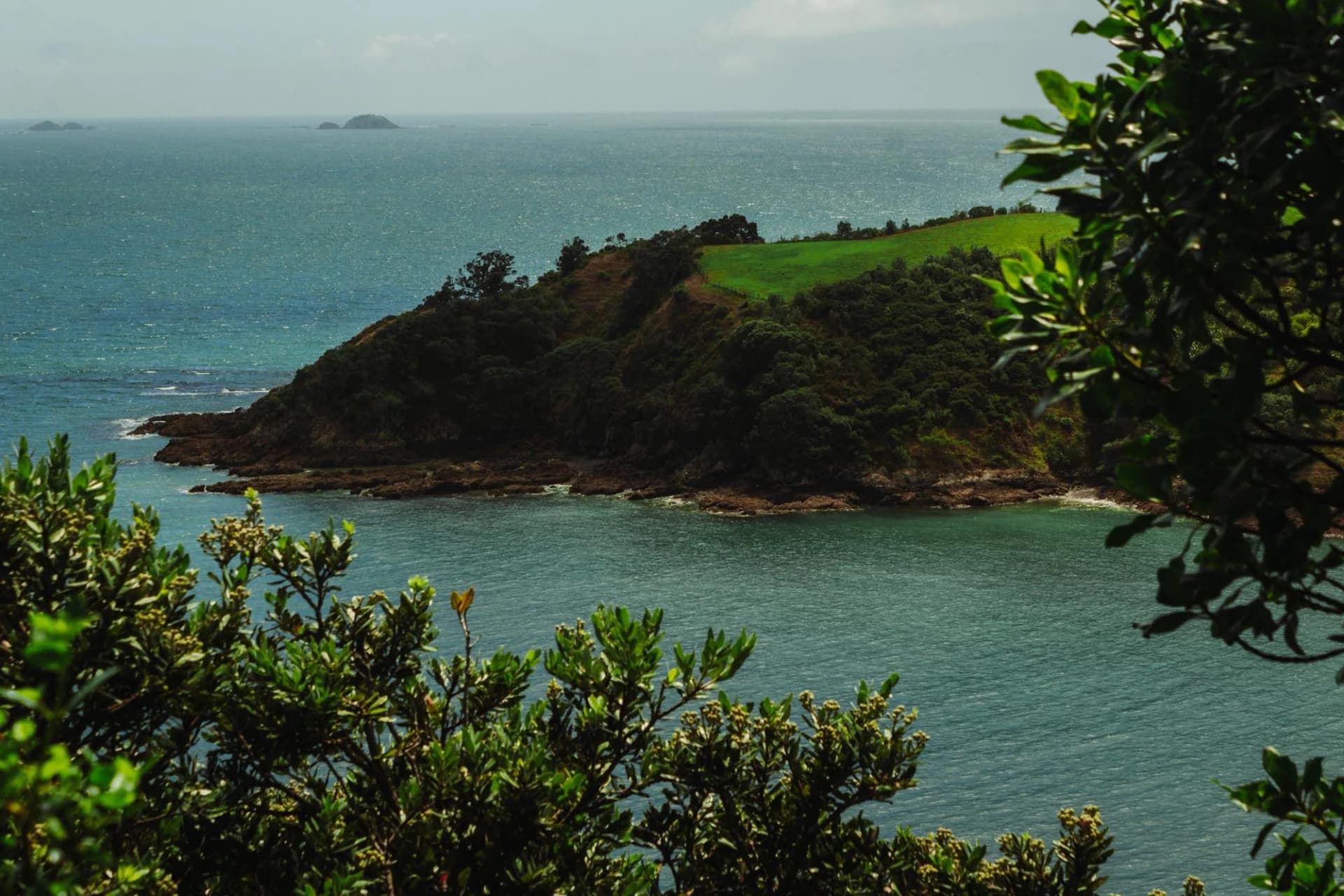 Découvrir Waiheke Island, au large d’Auckland