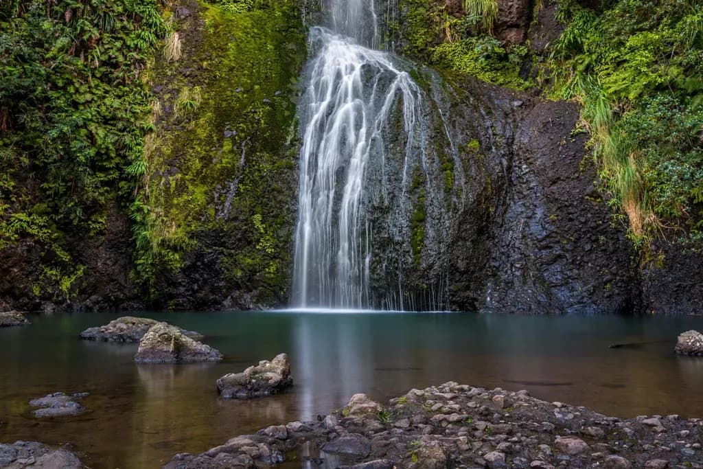 Visiter Piha Beach en Nouvelle-Zélande