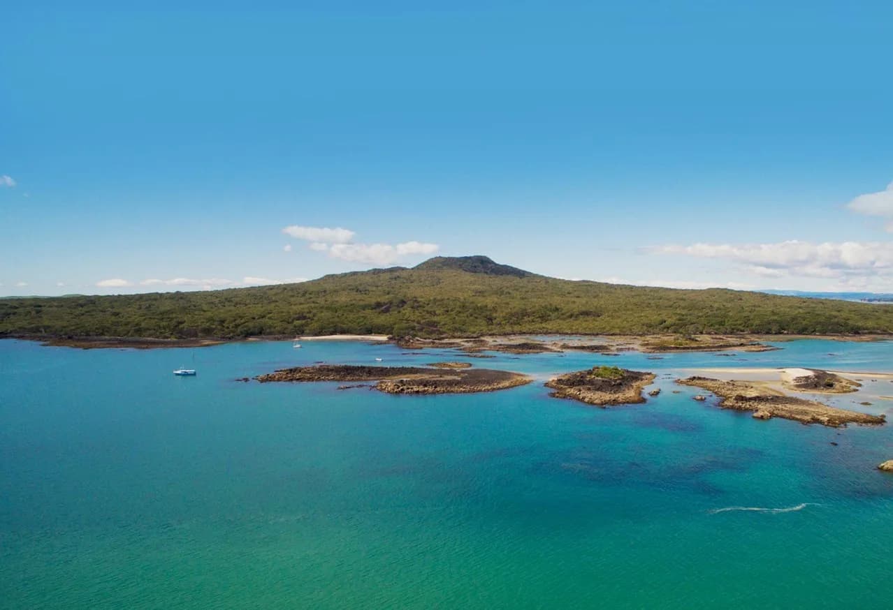 Que faut-il apporter pour visiter Rangitoto Island ?