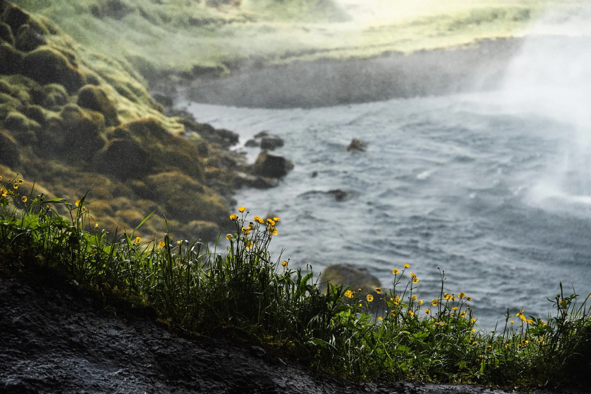Le guide complet de Seljalandsfoss en Islande