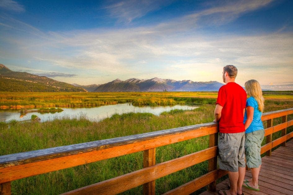 Observez les oiseaux et la faune en Alaska