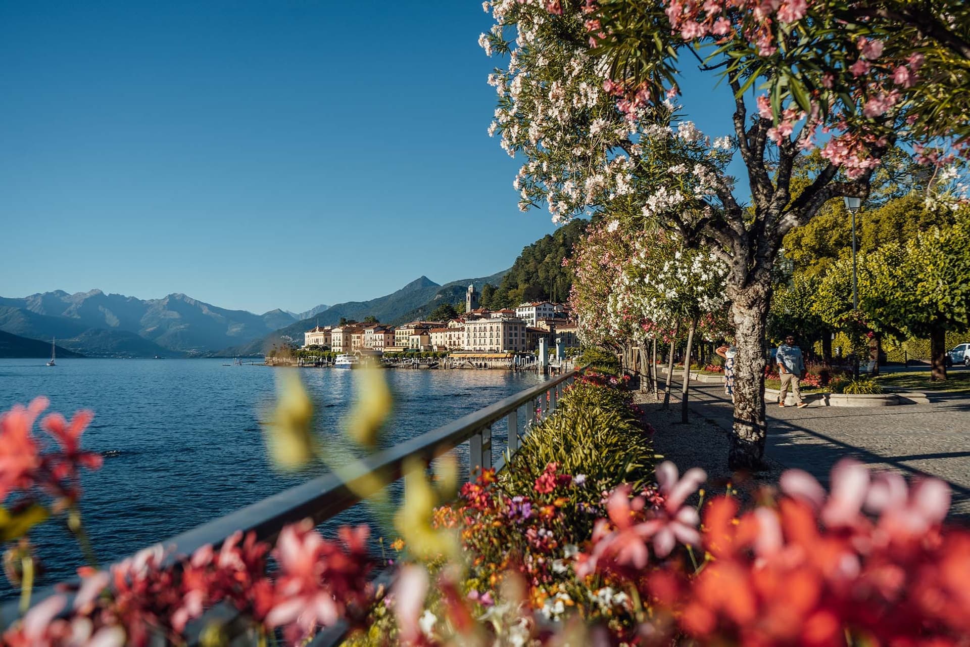 Que faire à Lugano en Suisse : Une escapade authentique au cœur de la Dolce Vita